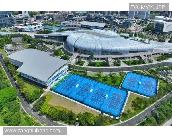 南京网球队防反战术创新探索与实践的深度剖析与未来展望