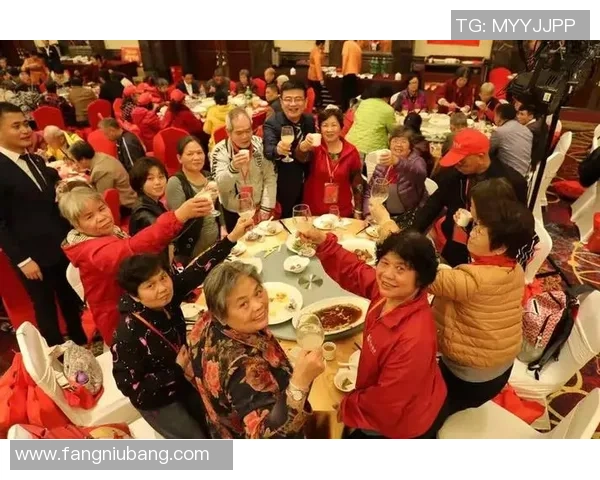 广州篮球队的奋斗历程与荣耀追寻全景纪实